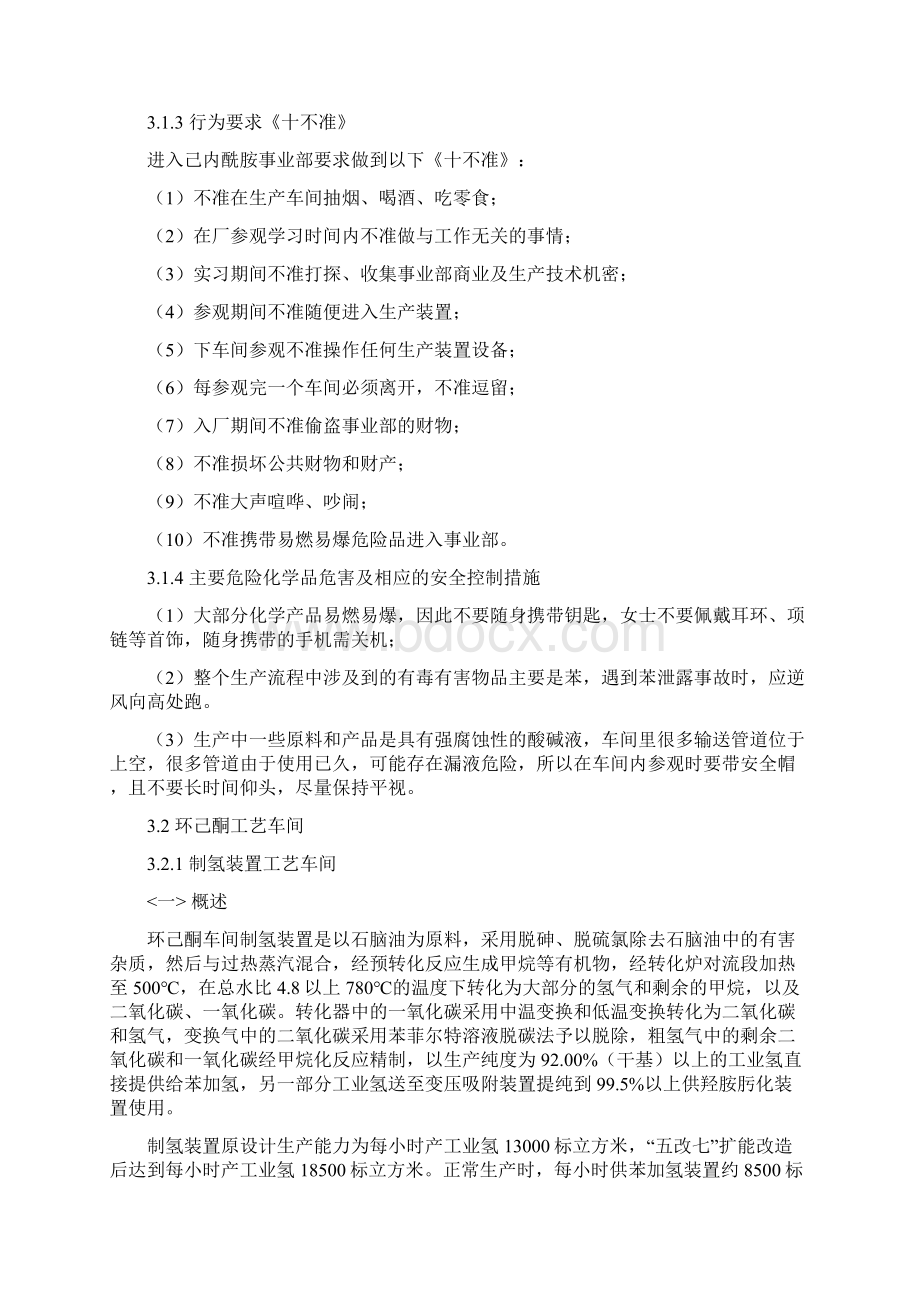 工艺技术己内酰胺合成工艺实习报告.docx_第3页