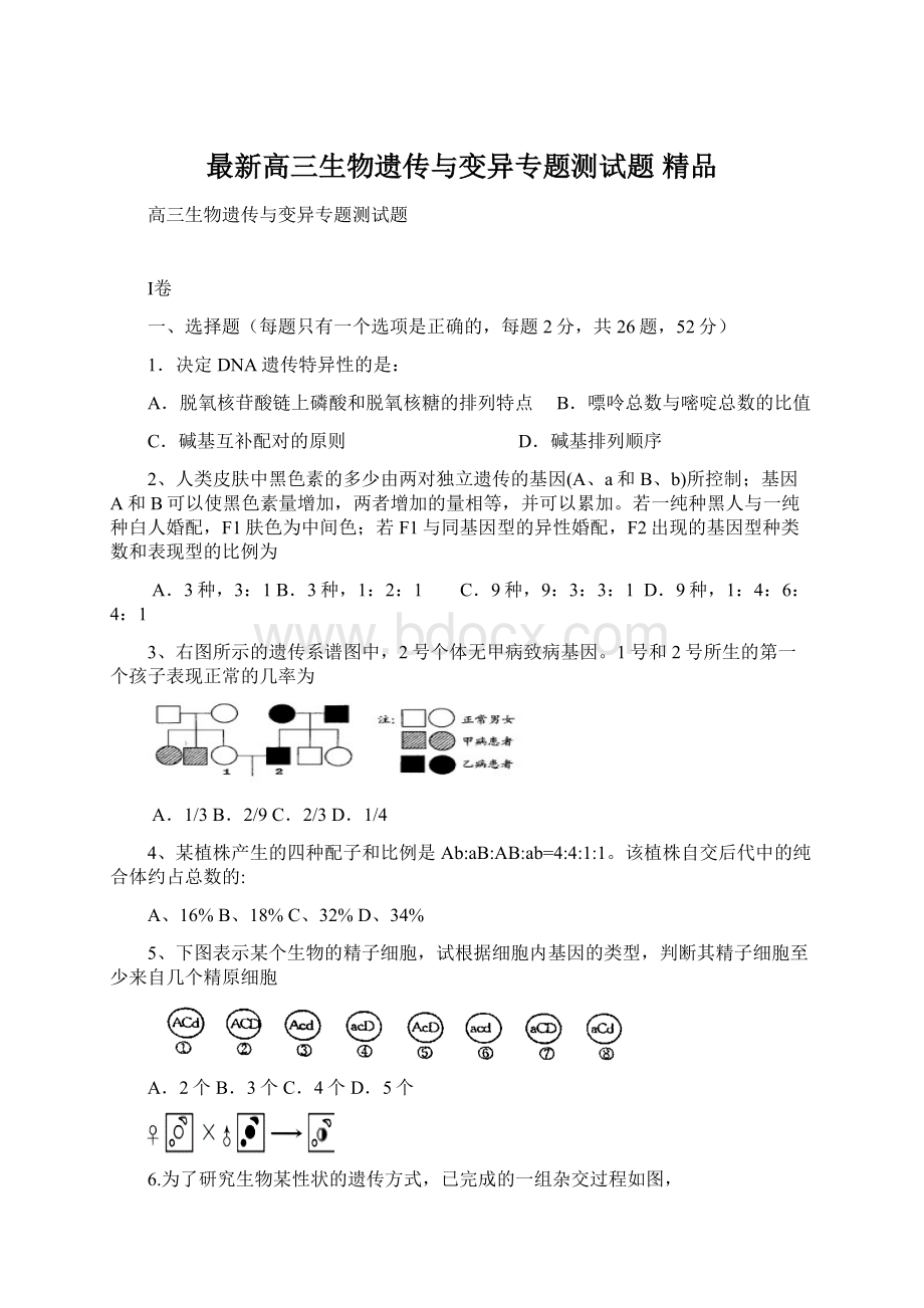 最新高三生物遗传与变异专题测试题 精品Word文档下载推荐.docx