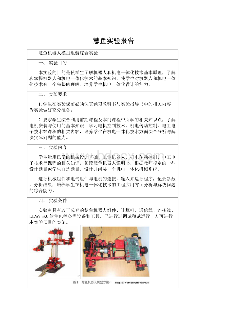 慧鱼实验报告.docx_第1页