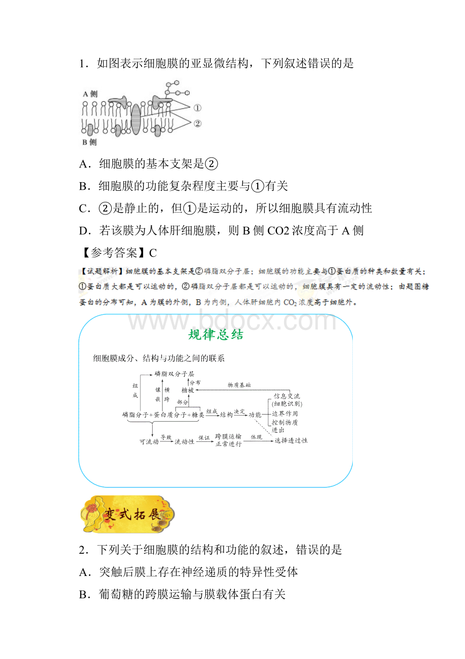 届一轮复习人教版 专题08 细胞膜系统的边界 教案.docx_第3页