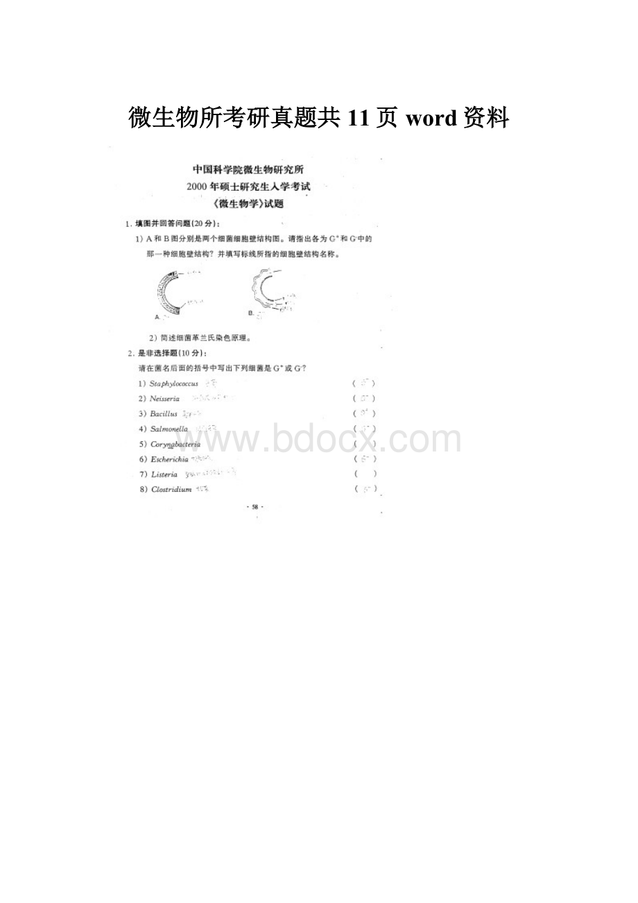 微生物所考研真题共11页word资料.docx_第1页