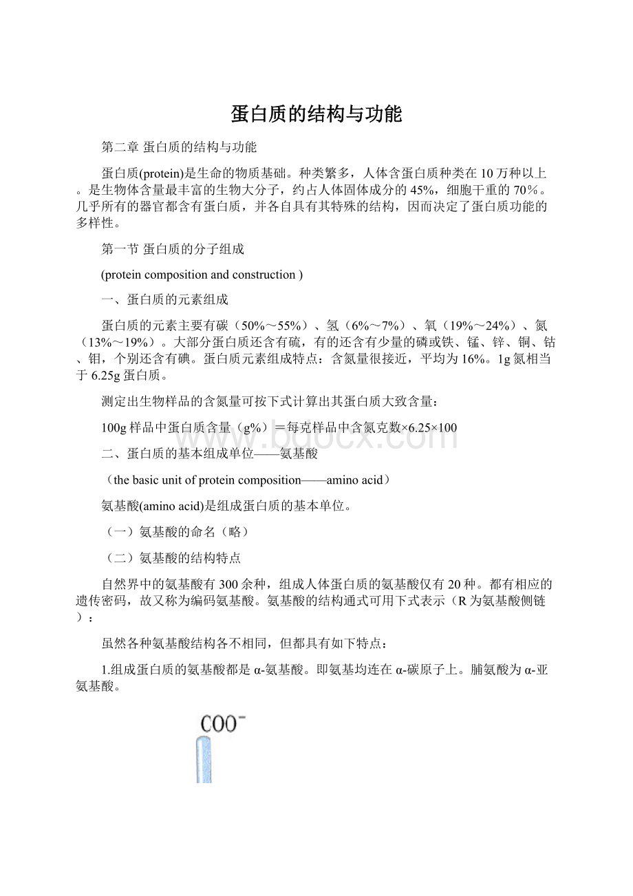 蛋白质的结构与功能.docx_第1页