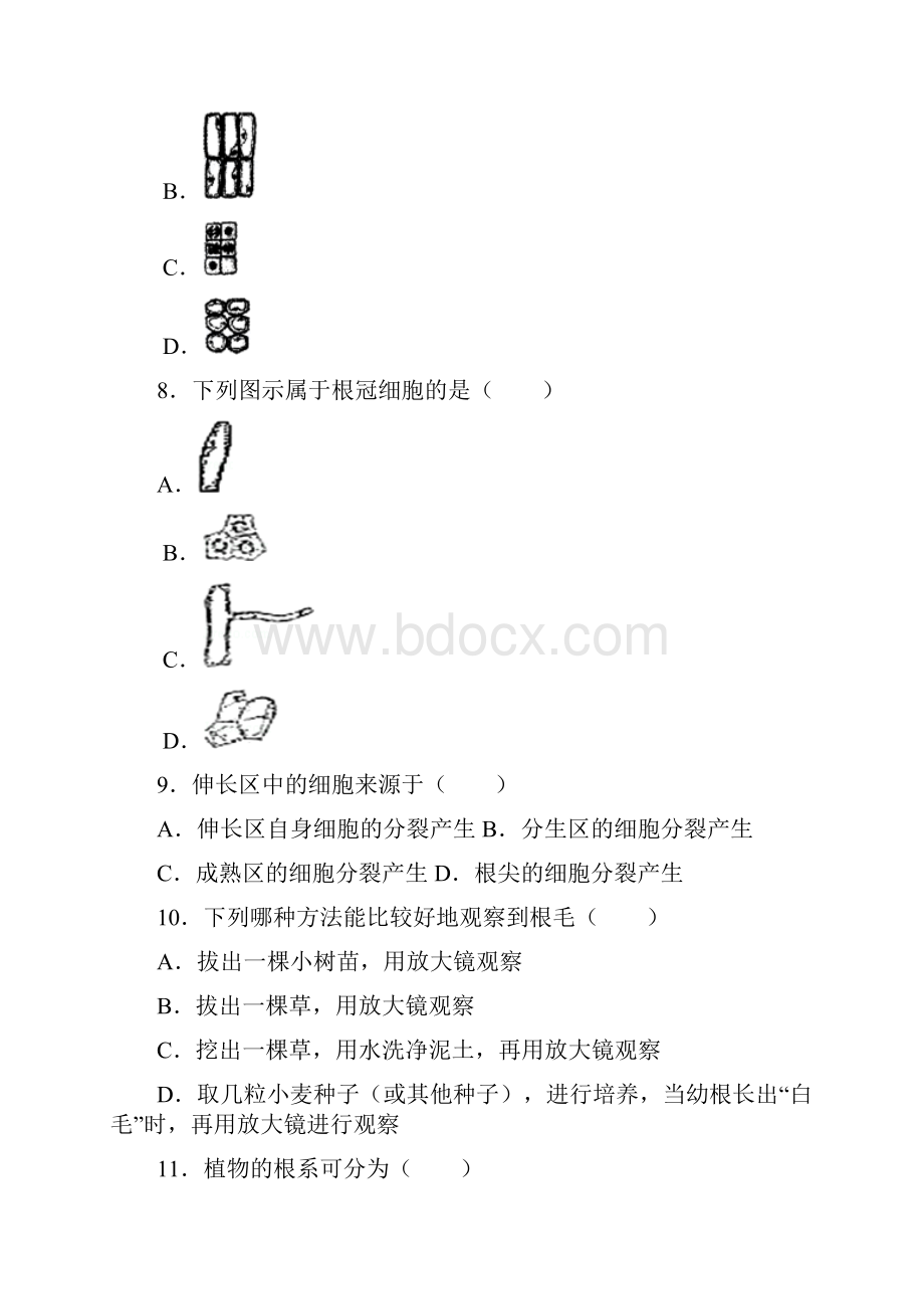 浙教版八年级下学期《43+植物的根与物质吸收》同步练习组卷.docx_第3页