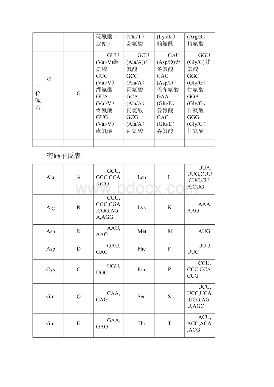 《遗传密码表》以及《氨基酸详表》.docx_第2页