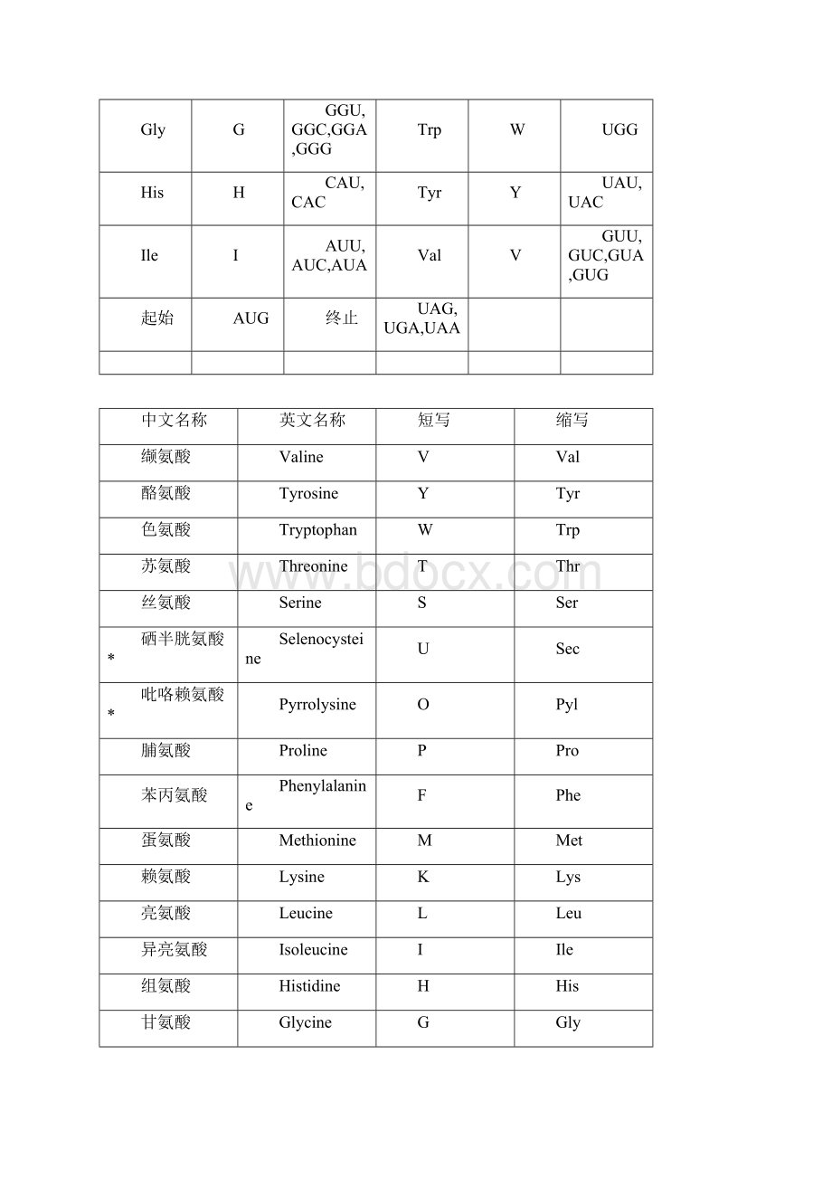 《遗传密码表》以及《氨基酸详表》.docx_第3页