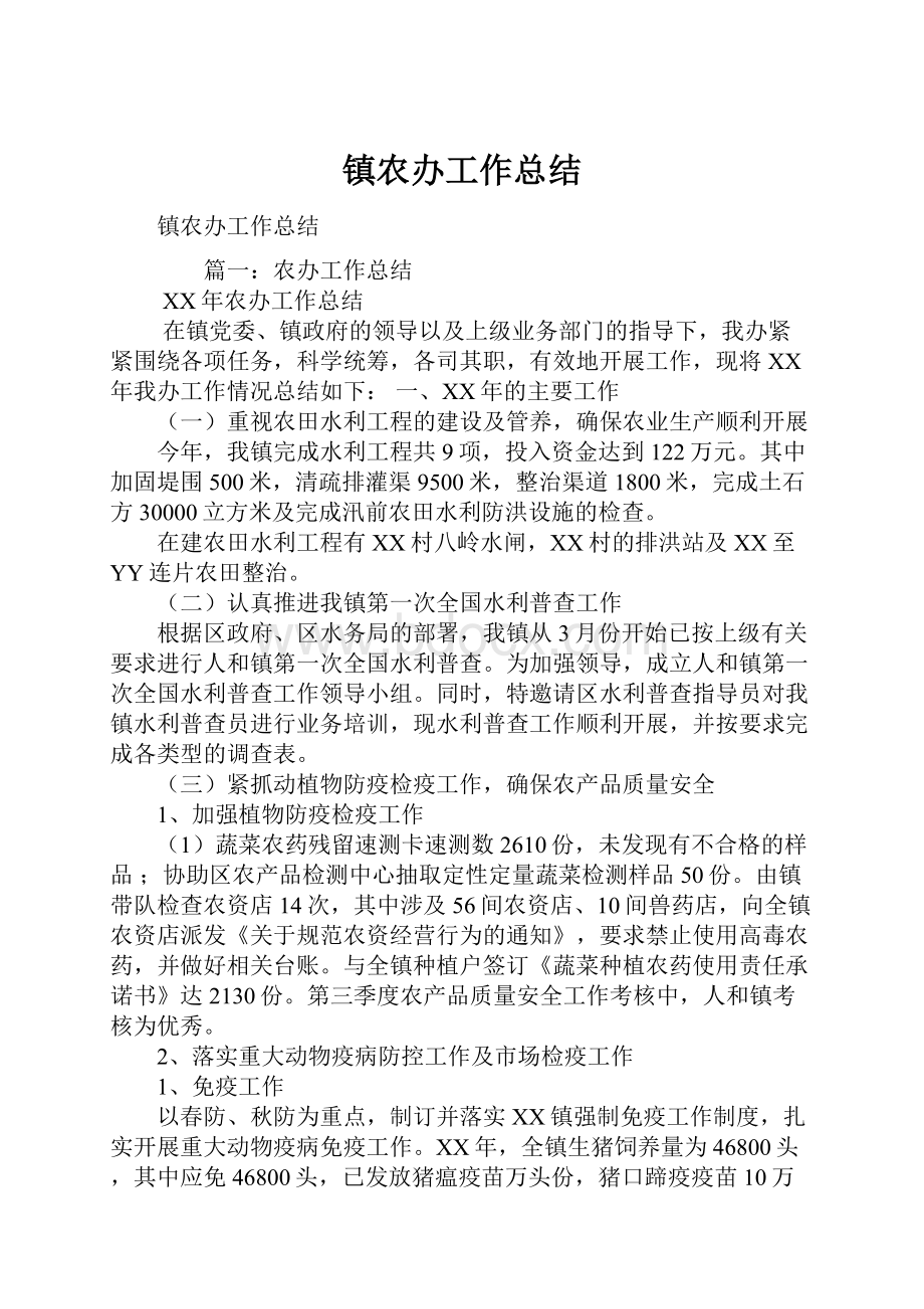 镇农办工作总结文档格式.docx