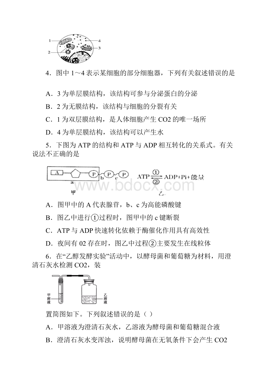 期末备考浙江省瑞安市上海新纪元高级中学学年高一下学期学考模拟测试生物试题.docx_第2页