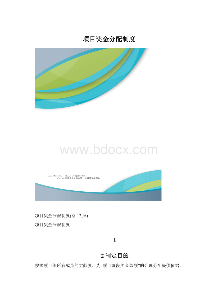 项目奖金分配制度文档格式.docx