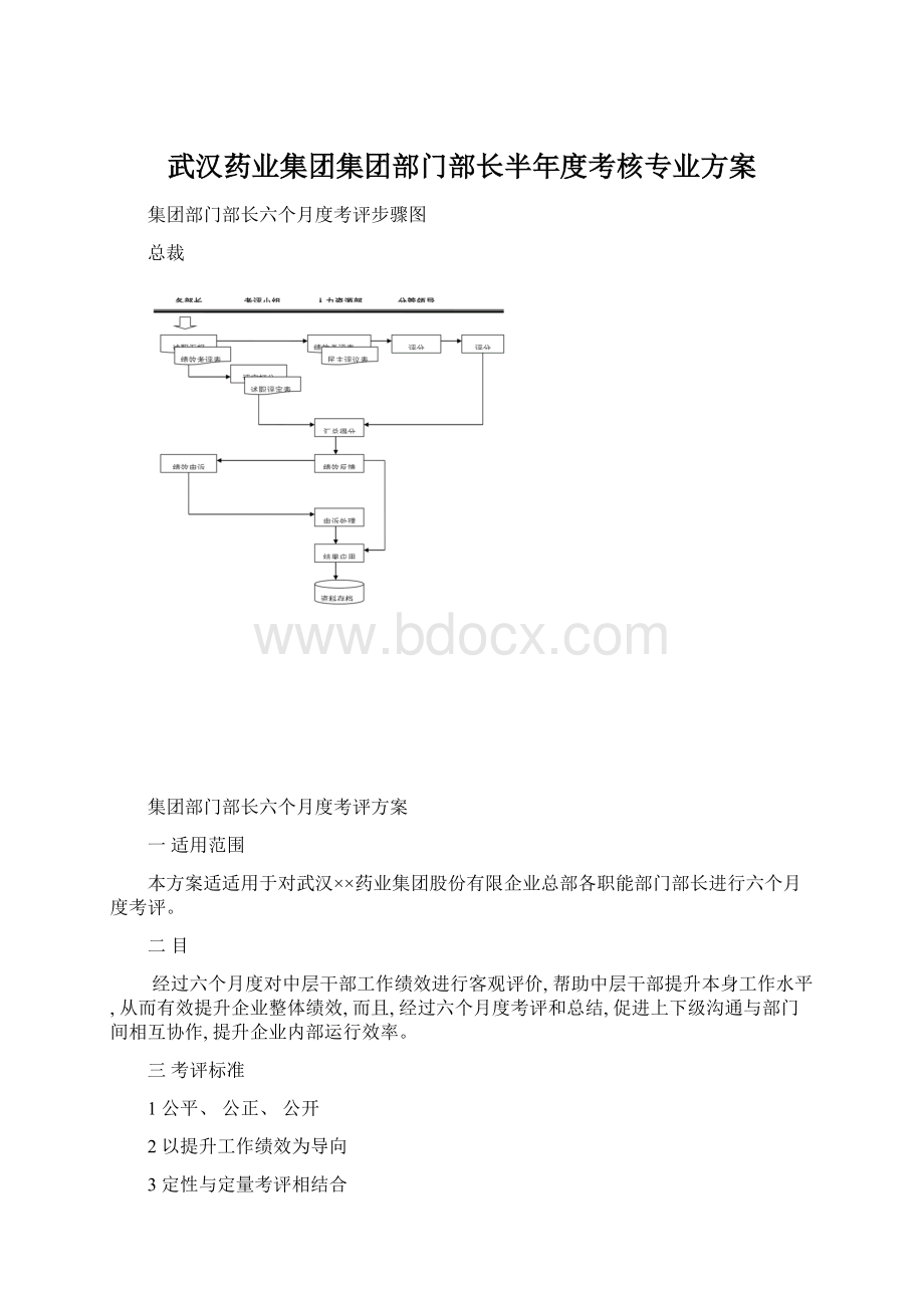 武汉药业集团集团部门部长半年度考核专业方案.docx_第1页