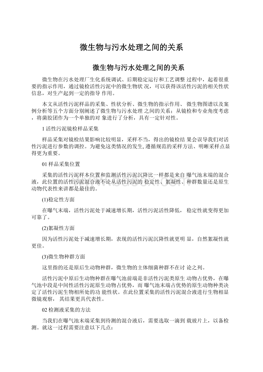 微生物与污水处理之间的关系Word格式文档下载.docx