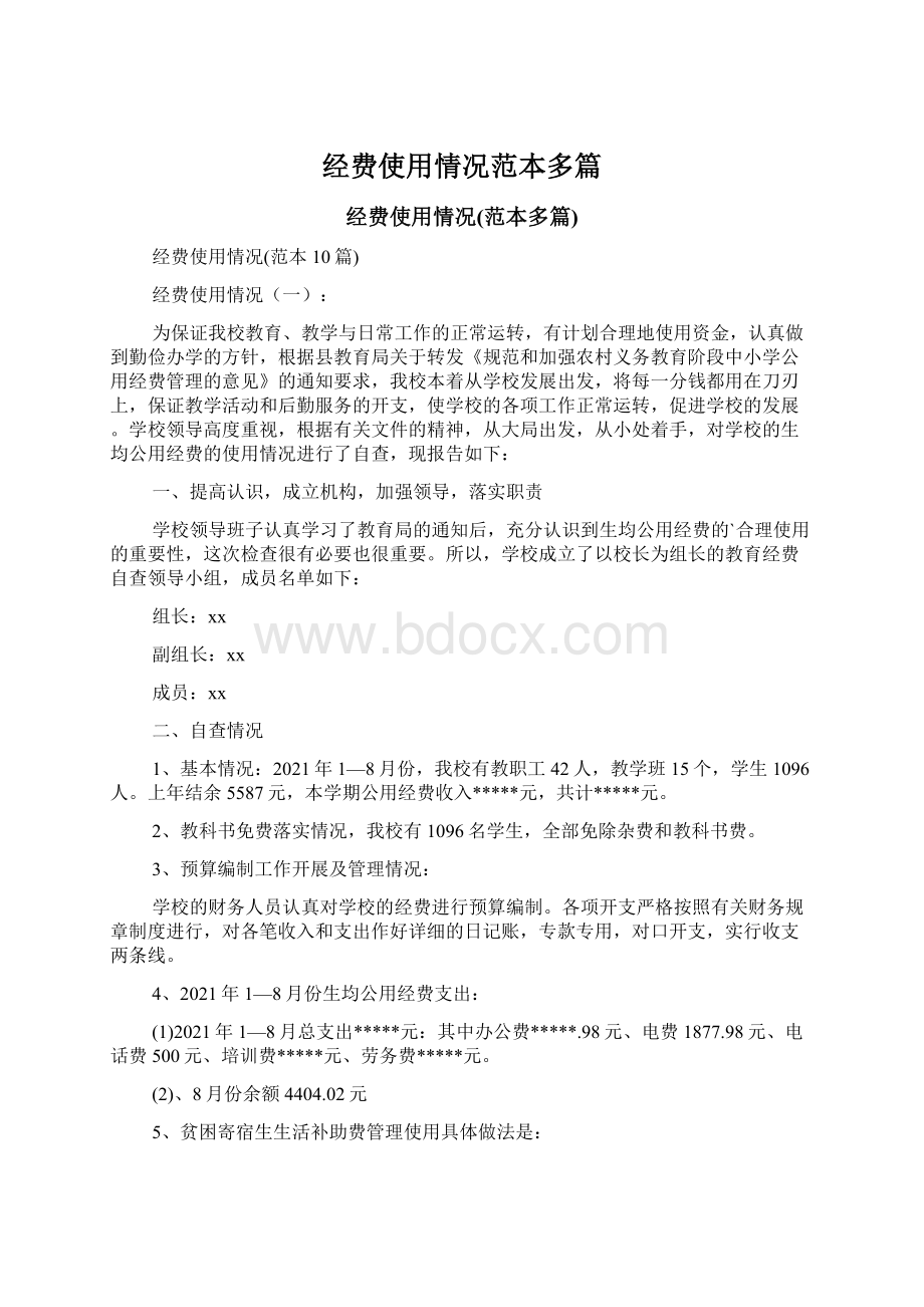 经费使用情况范本多篇.docx