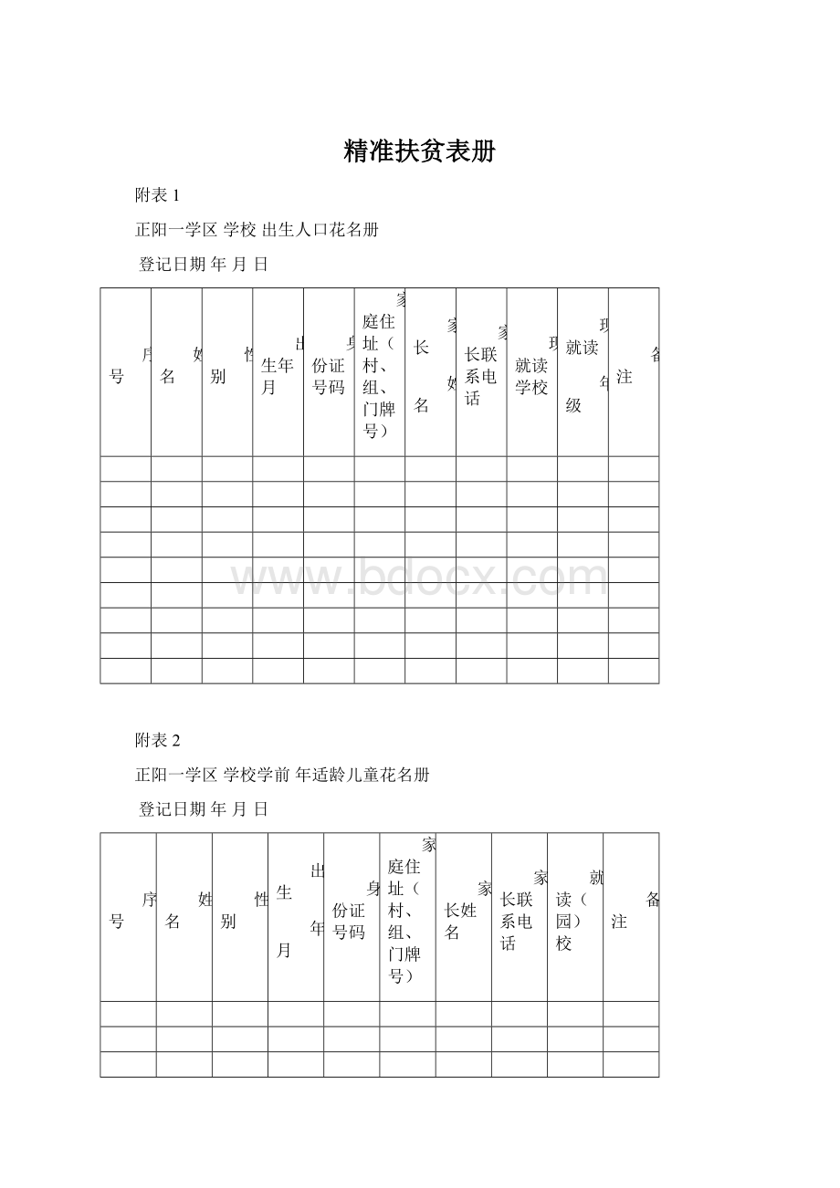 精准扶贫表册Word文件下载.docx