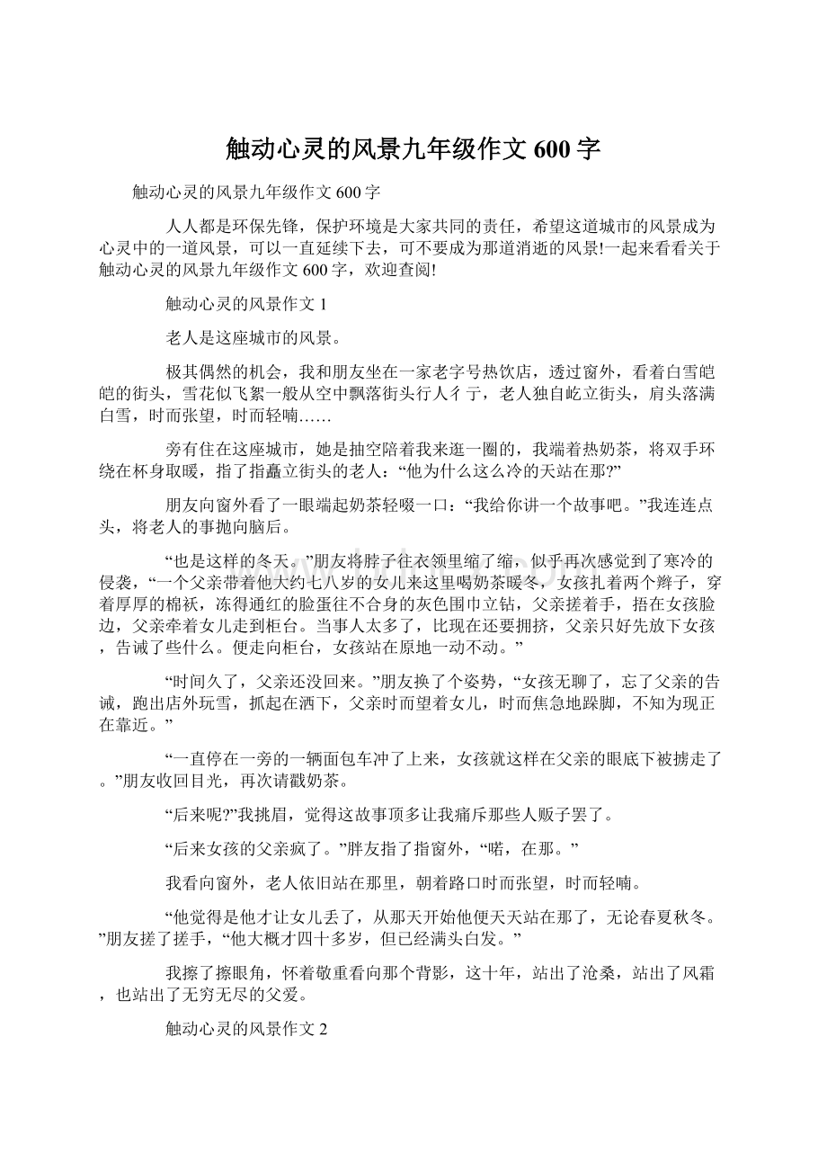 触动心灵的风景九年级作文600字Word文档下载推荐.docx