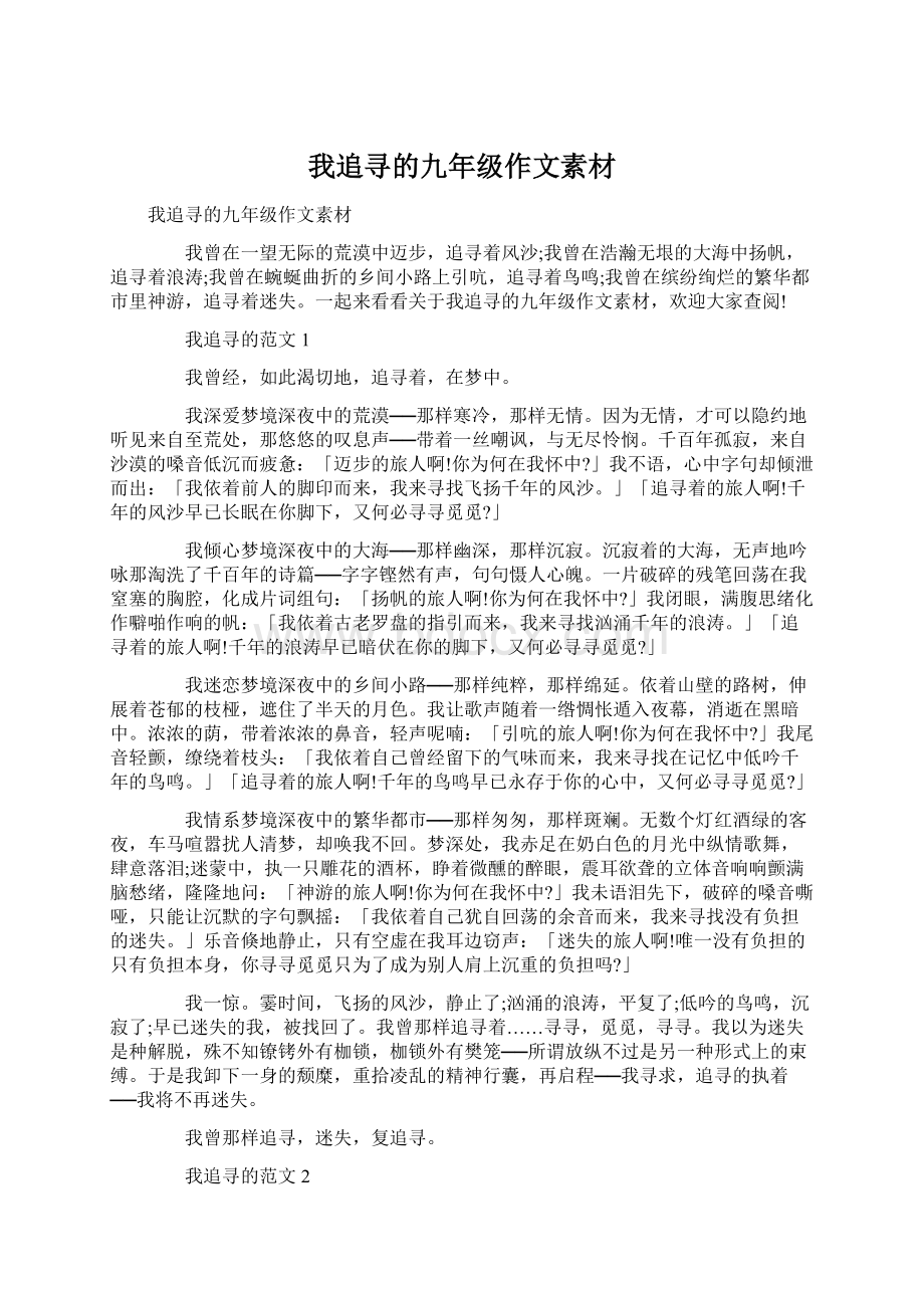 我追寻的九年级作文素材文档格式.docx