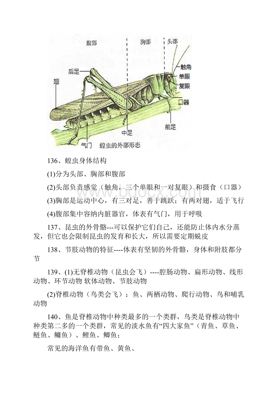 生物八上知识点总结Word文档下载推荐.docx_第2页