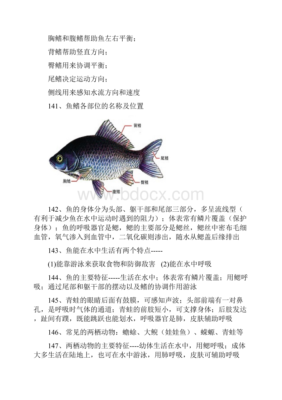 生物八上知识点总结Word文档下载推荐.docx_第3页