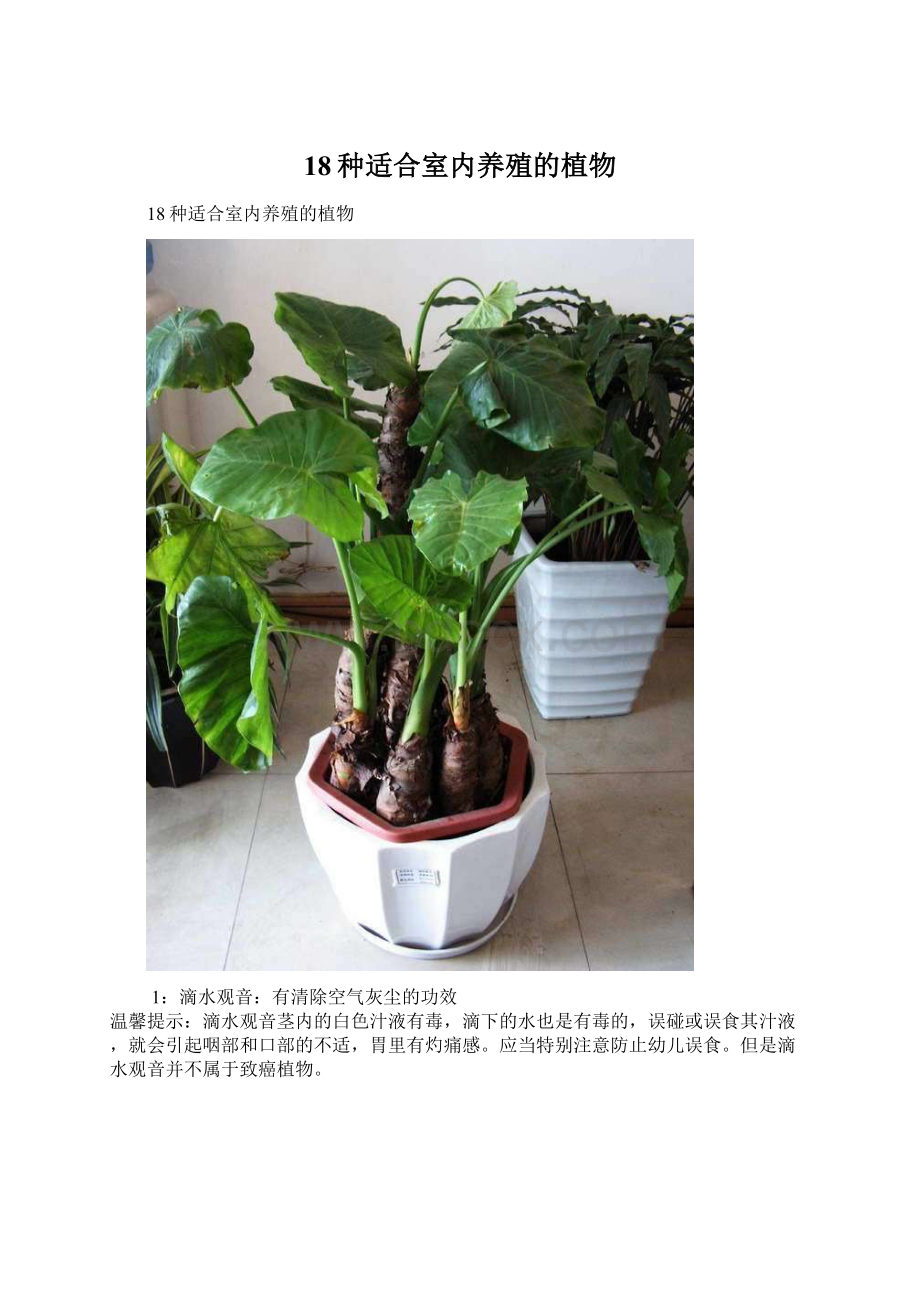 18种适合室内养殖的植物Word文档格式.docx