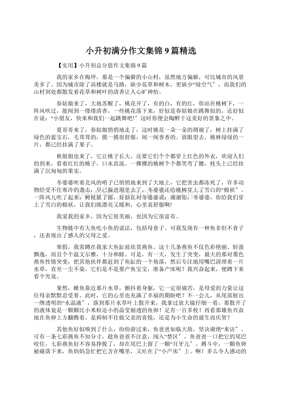 小升初满分作文集锦9篇精选.docx_第1页