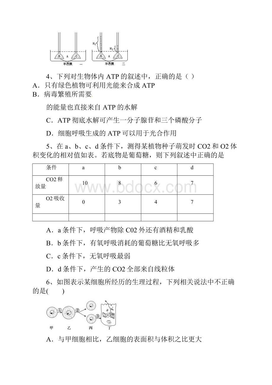 高三第一次摸底考试题Word格式文档下载.docx_第2页