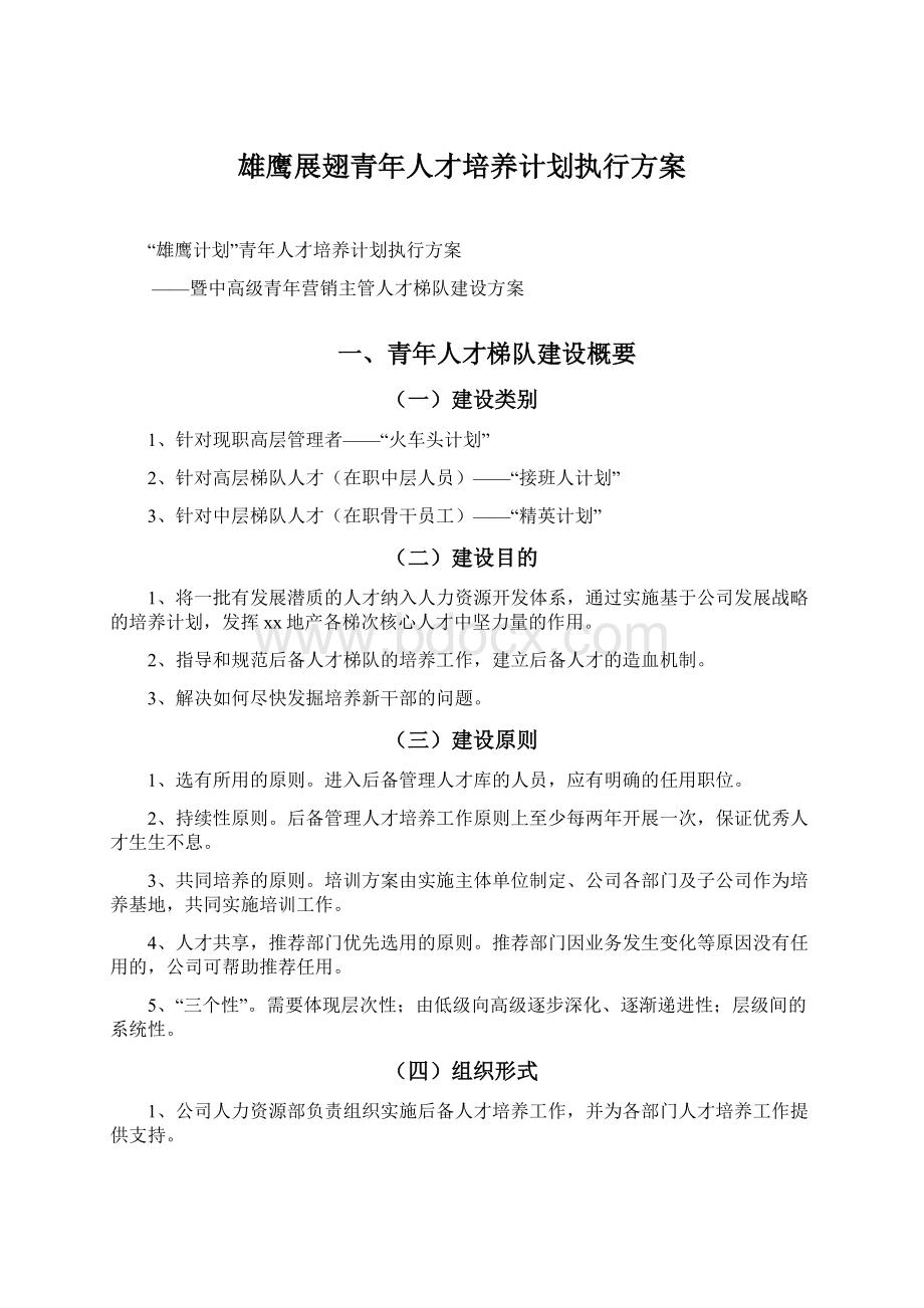 雄鹰展翅青年人才培养计划执行方案.docx