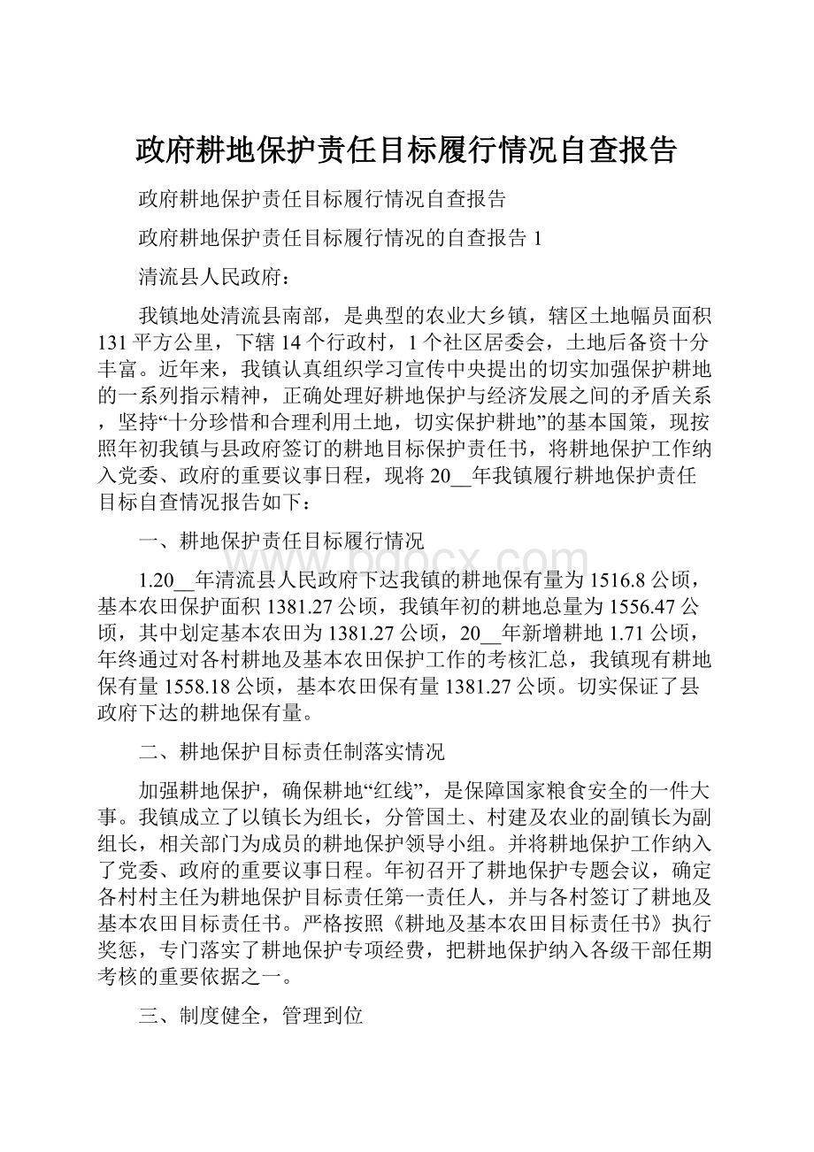 政府耕地保护责任目标履行情况自查报告.docx_第1页