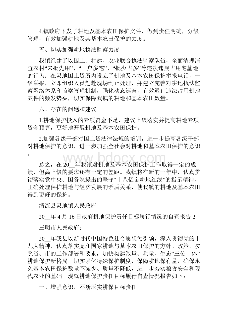 政府耕地保护责任目标履行情况自查报告.docx_第3页