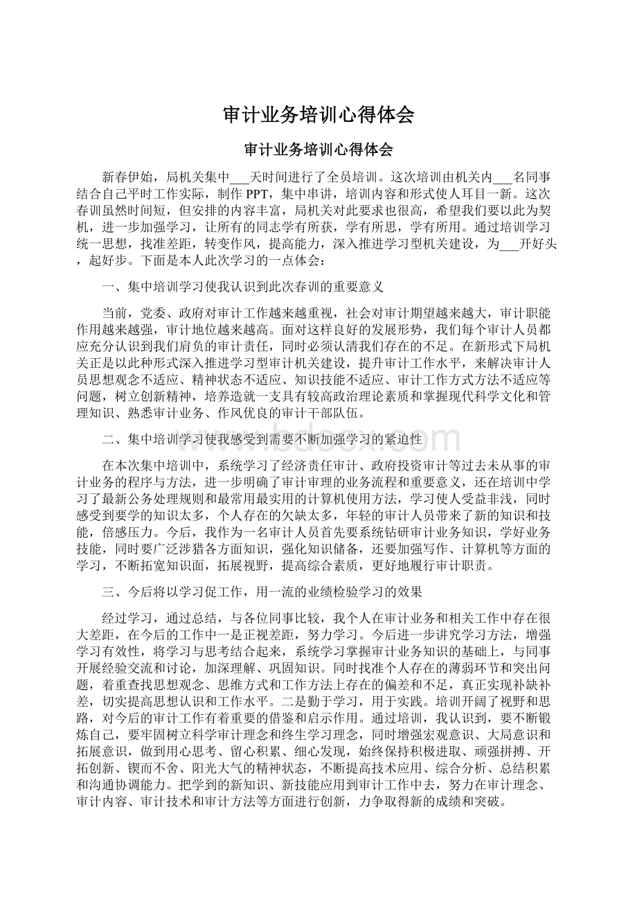 审计业务培训心得体会Word文档下载推荐.docx