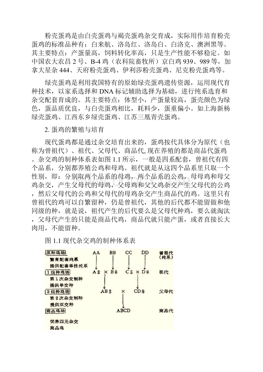 鸡蛋现货市场建设项目可行性研究报告正文.docx_第2页