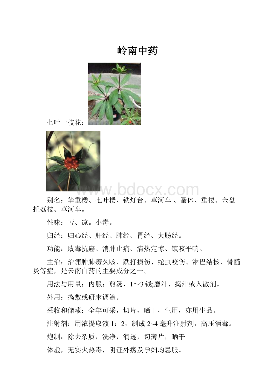 岭南中药Word文档格式.docx