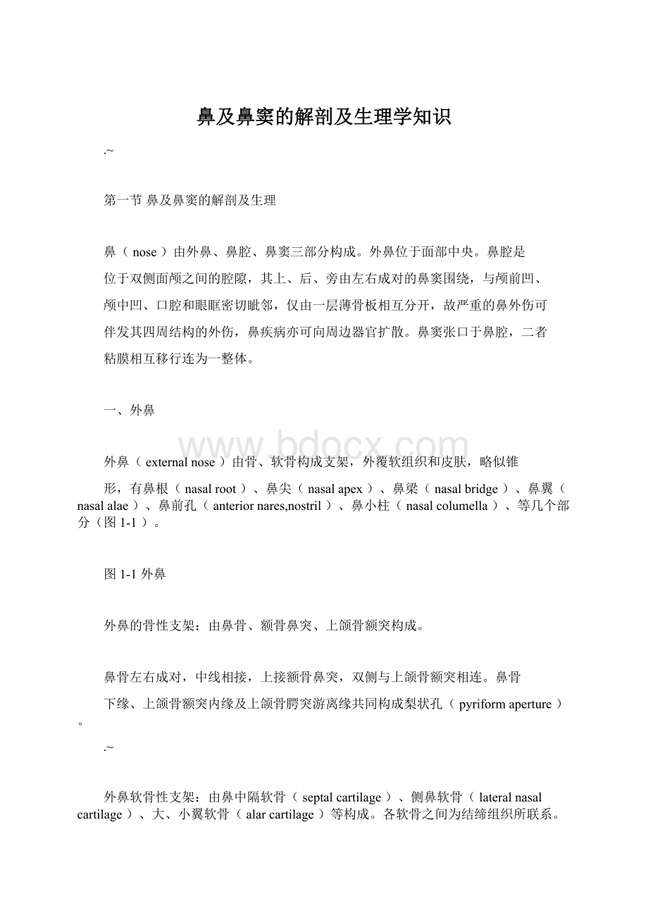 鼻及鼻窦的解剖及生理学知识.docx_第1页