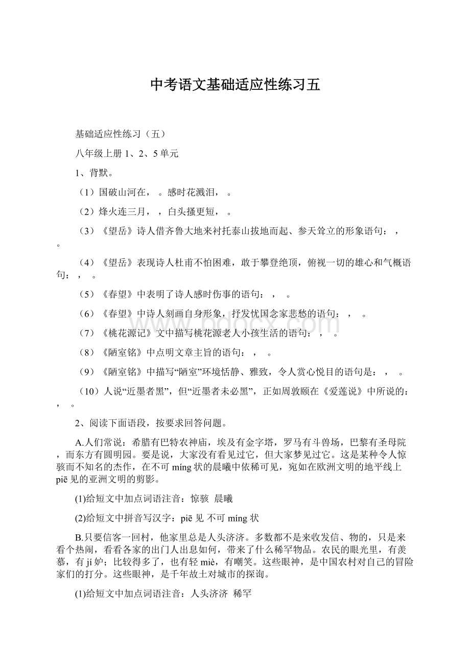 中考语文基础适应性练习五.docx_第1页