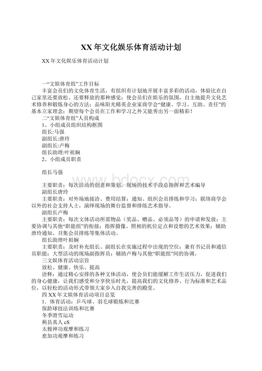 XX年文化娱乐体育活动计划.docx