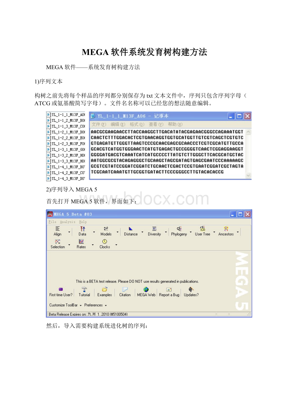 MEGA软件系统发育树构建方法Word文件下载.docx