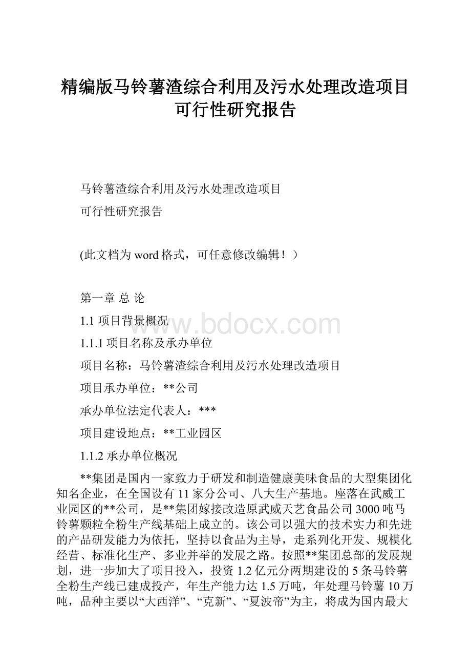 精编版马铃薯渣综合利用及污水处理改造项目可行性研究报告Word格式.docx