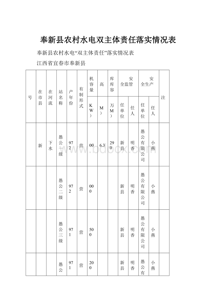 奉新县农村水电双主体责任落实情况表Word格式文档下载.docx_第1页