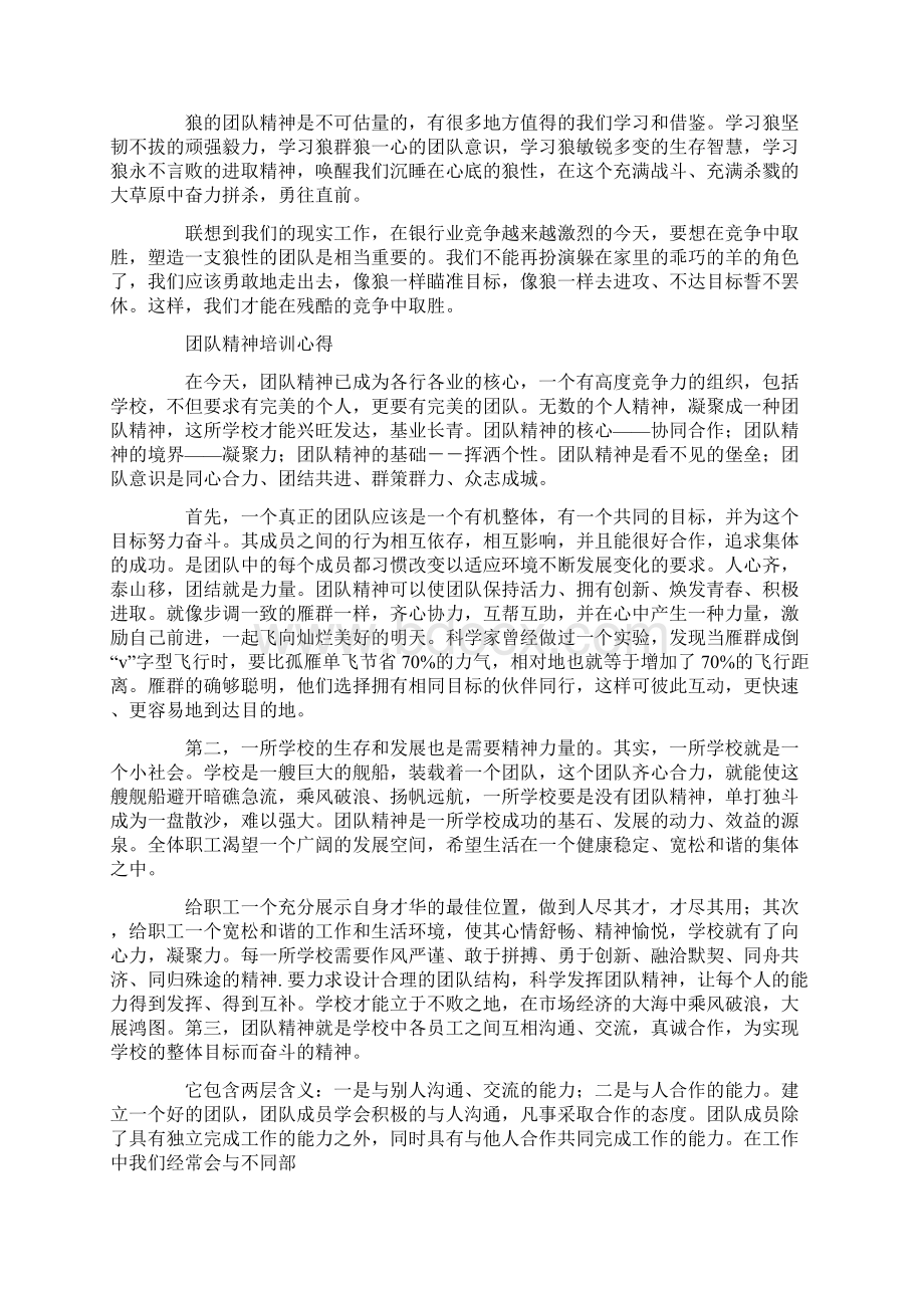 团队精神读书心得精选多篇.docx_第3页