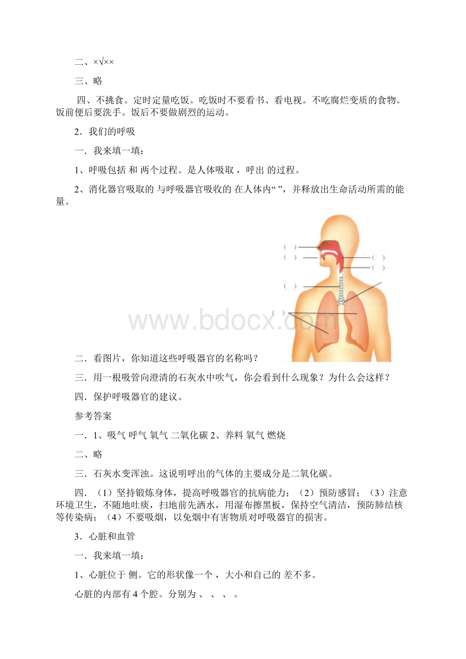 青岛版五年级科学下册各课知识Word文件下载.docx_第2页