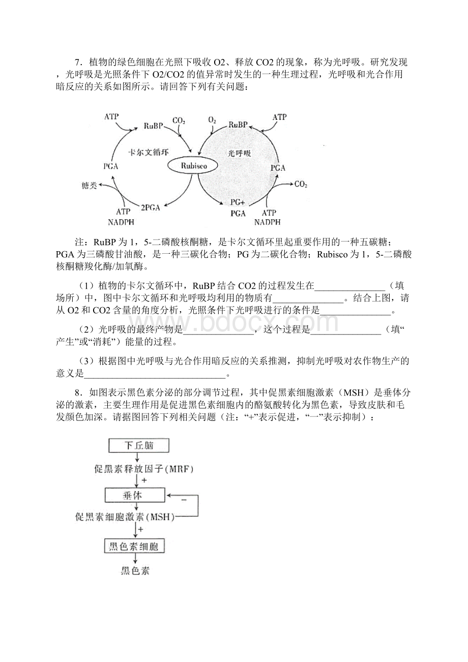 届河南省新乡市高三第二次模拟考试强化卷理综生物试题带答案解析.docx_第3页