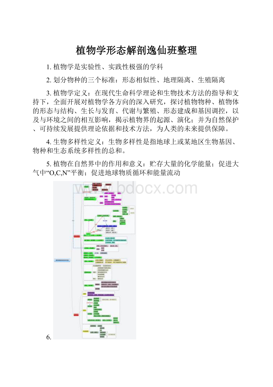 植物学形态解剖逸仙班整理Word下载.docx