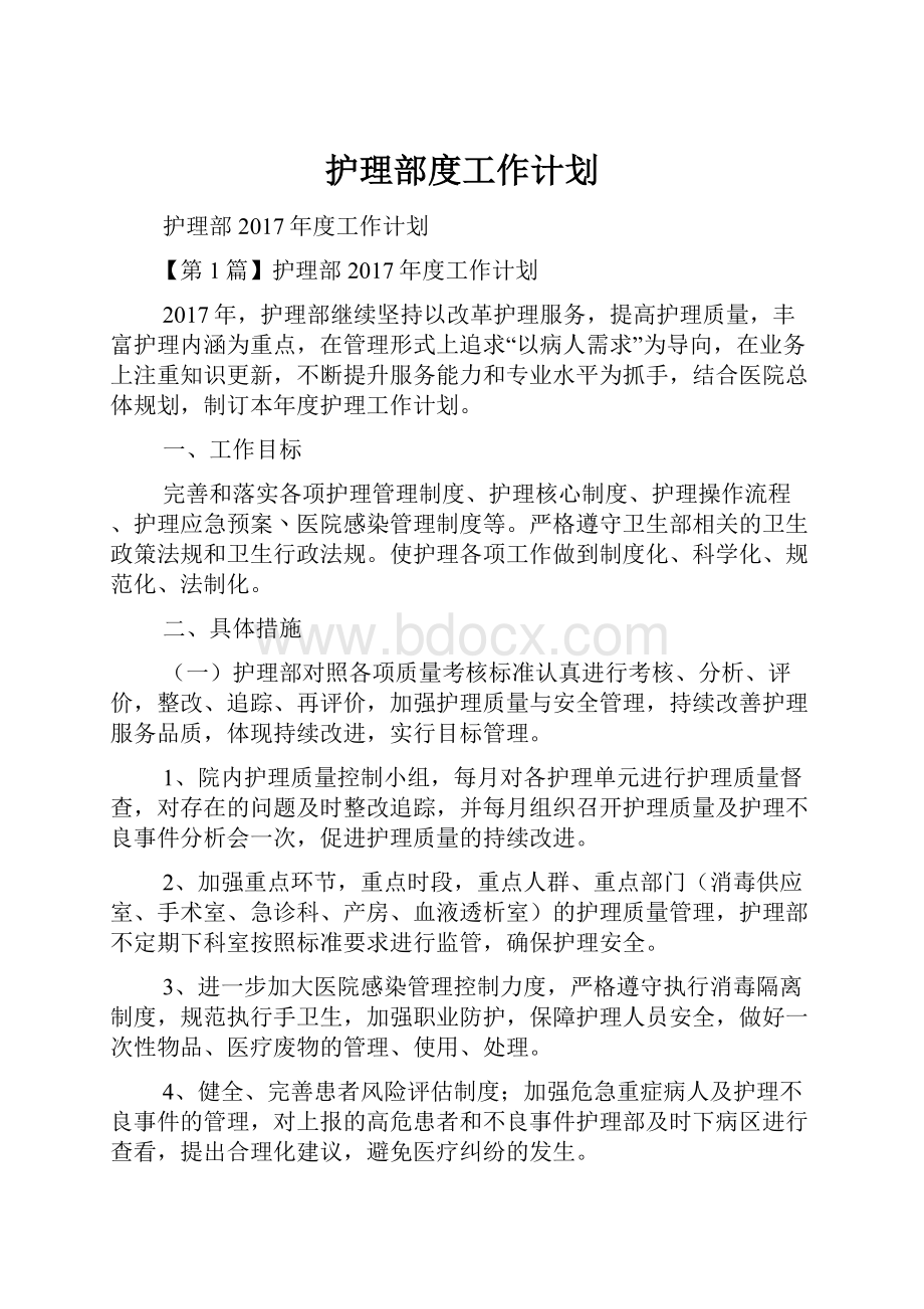 护理部度工作计划Word文档格式.docx