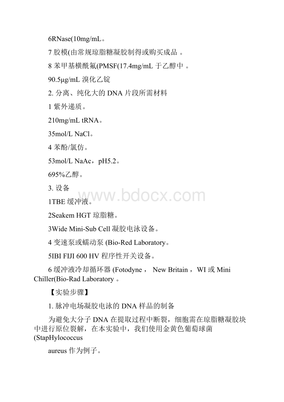脉冲场凝胶电泳Word文档格式.docx_第2页