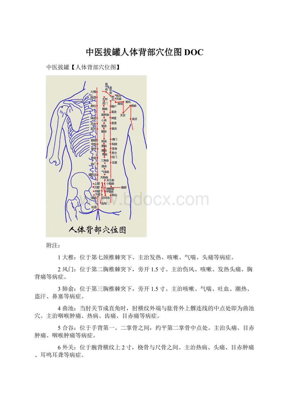 中医拔罐人体背部穴位图DOCWord格式文档下载.docx_第1页