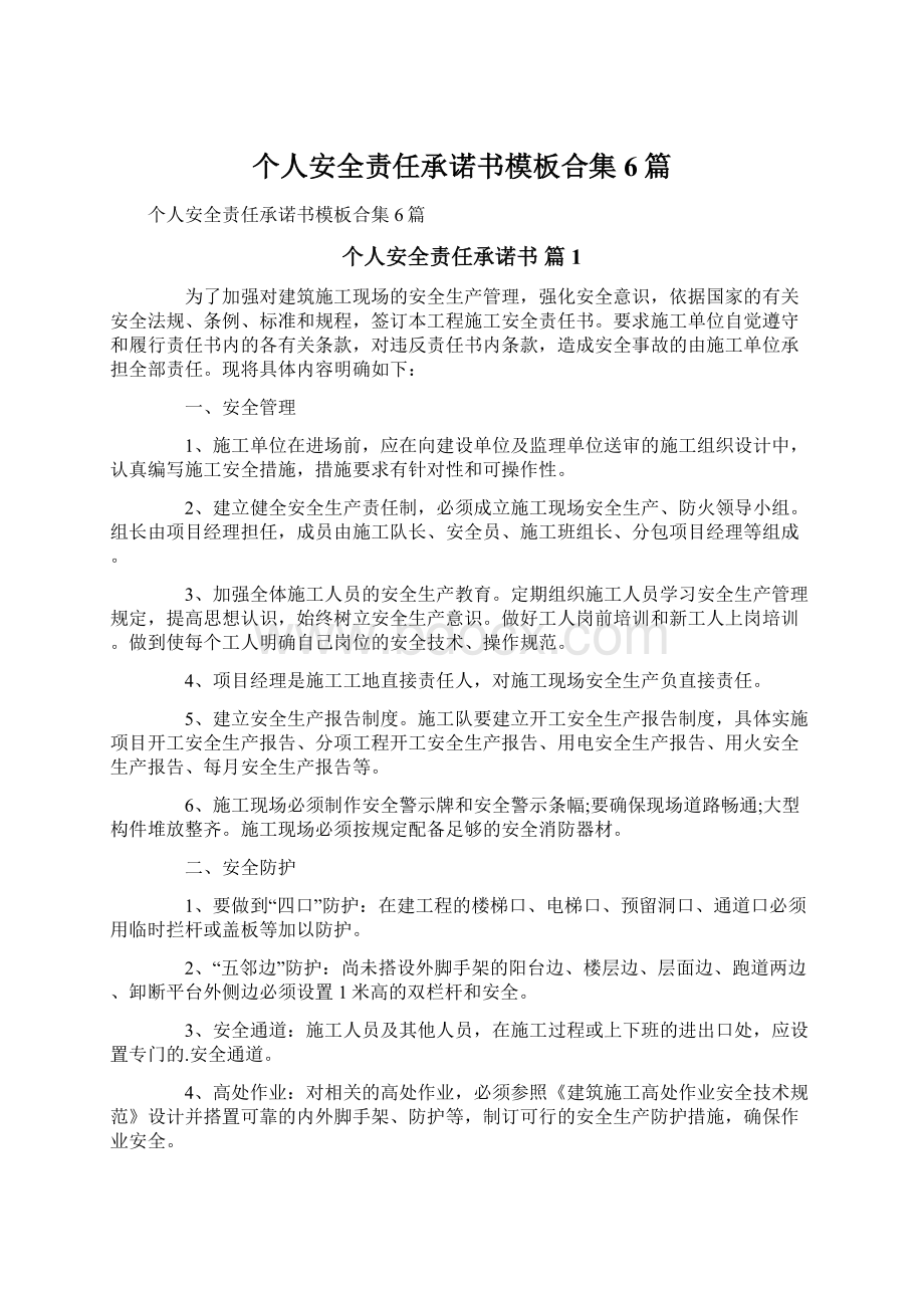 个人安全责任承诺书模板合集6篇文档格式.docx