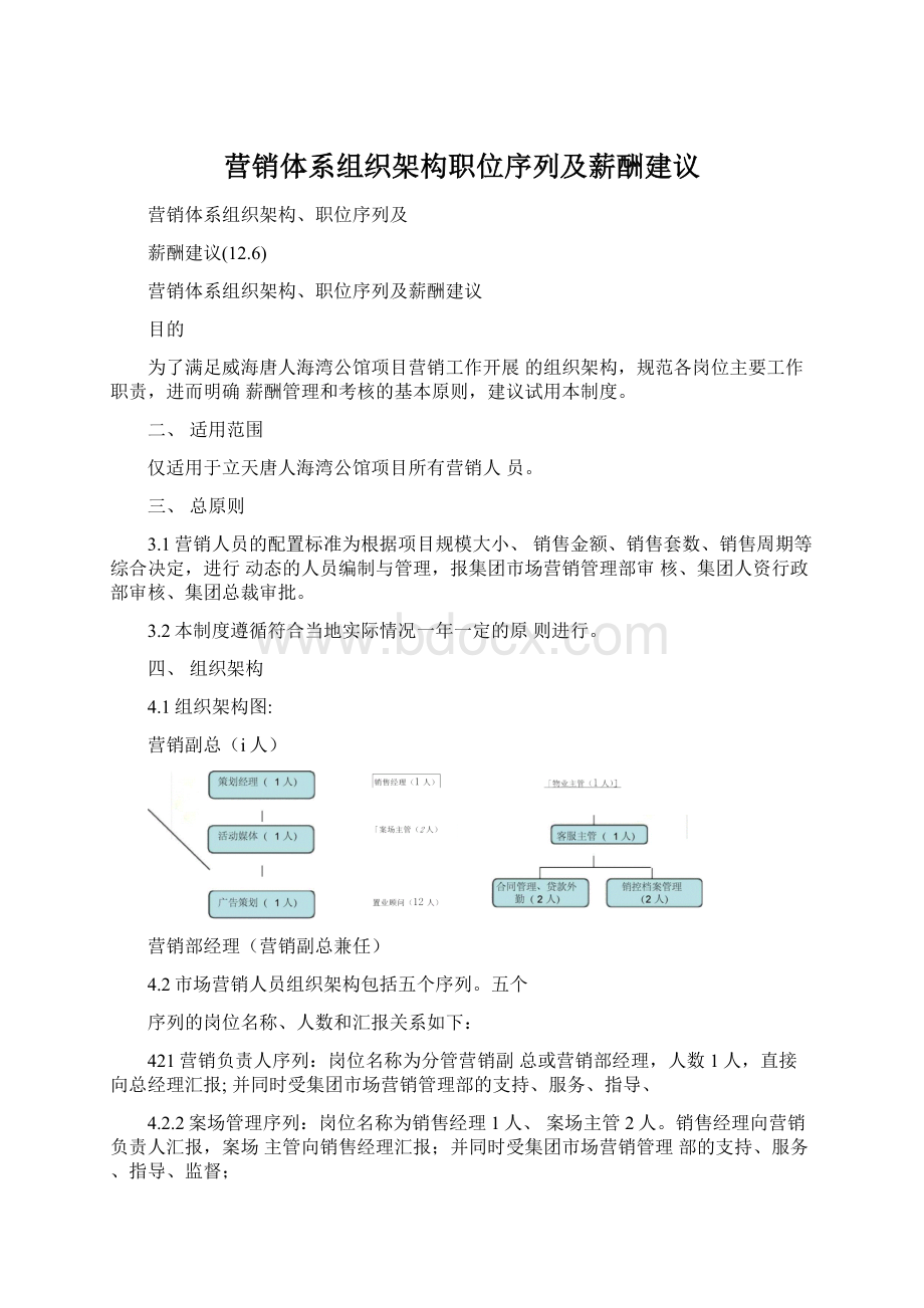 营销体系组织架构职位序列及薪酬建议.docx