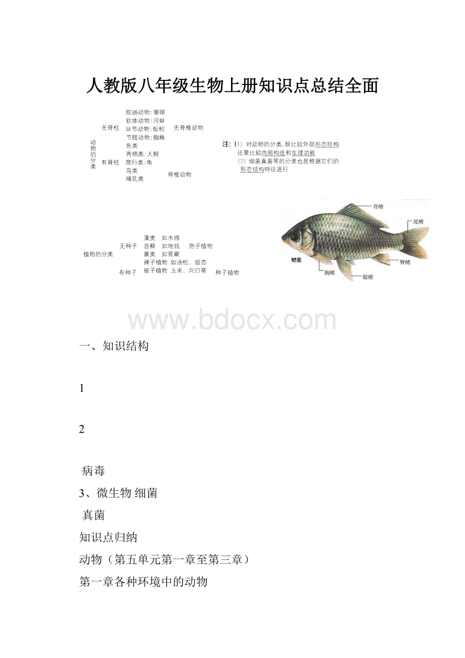 人教版八年级生物上册知识点总结全面.docx