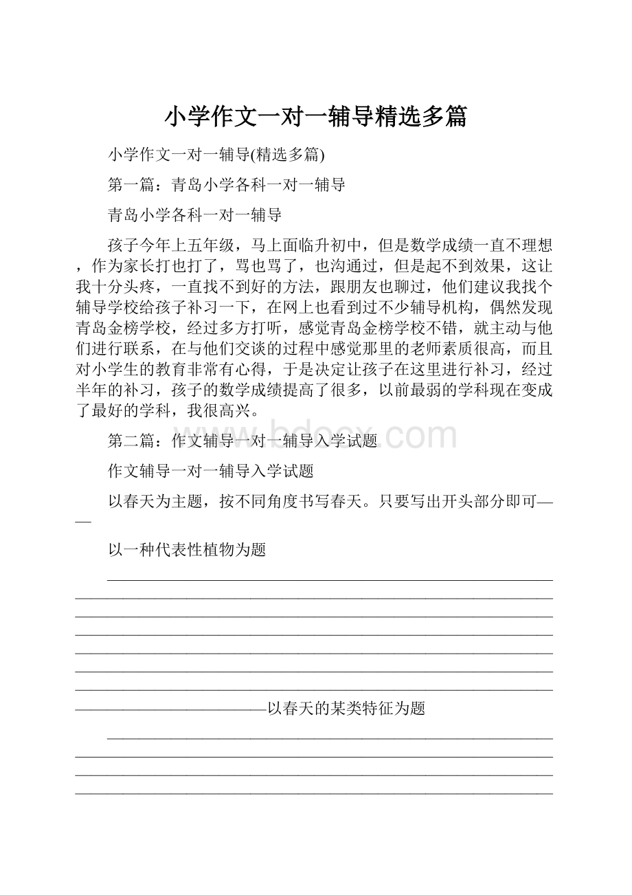 小学作文一对一辅导精选多篇.docx