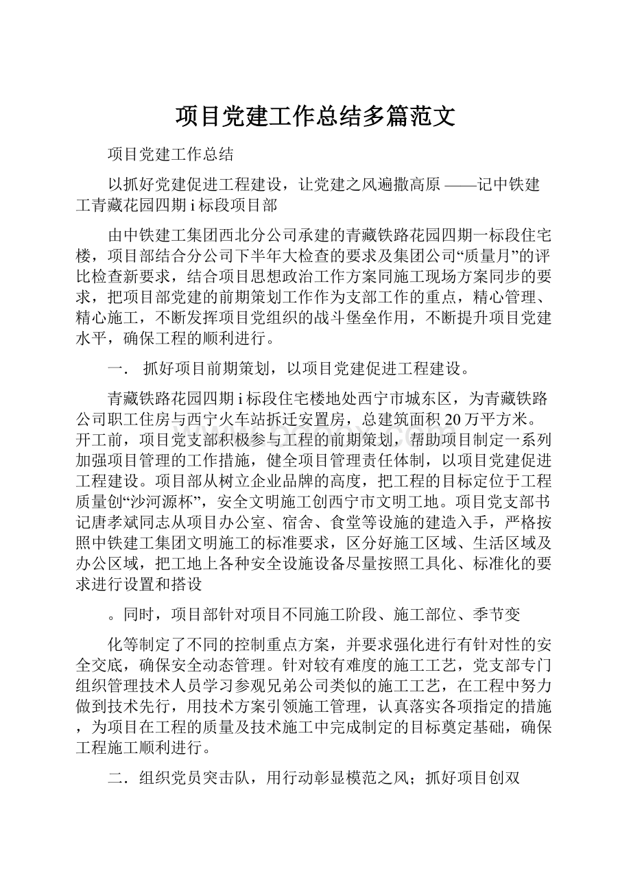 项目党建工作总结多篇范文.docx_第1页