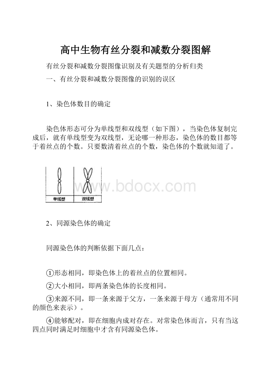 高中生物有丝分裂和减数分裂图解.docx