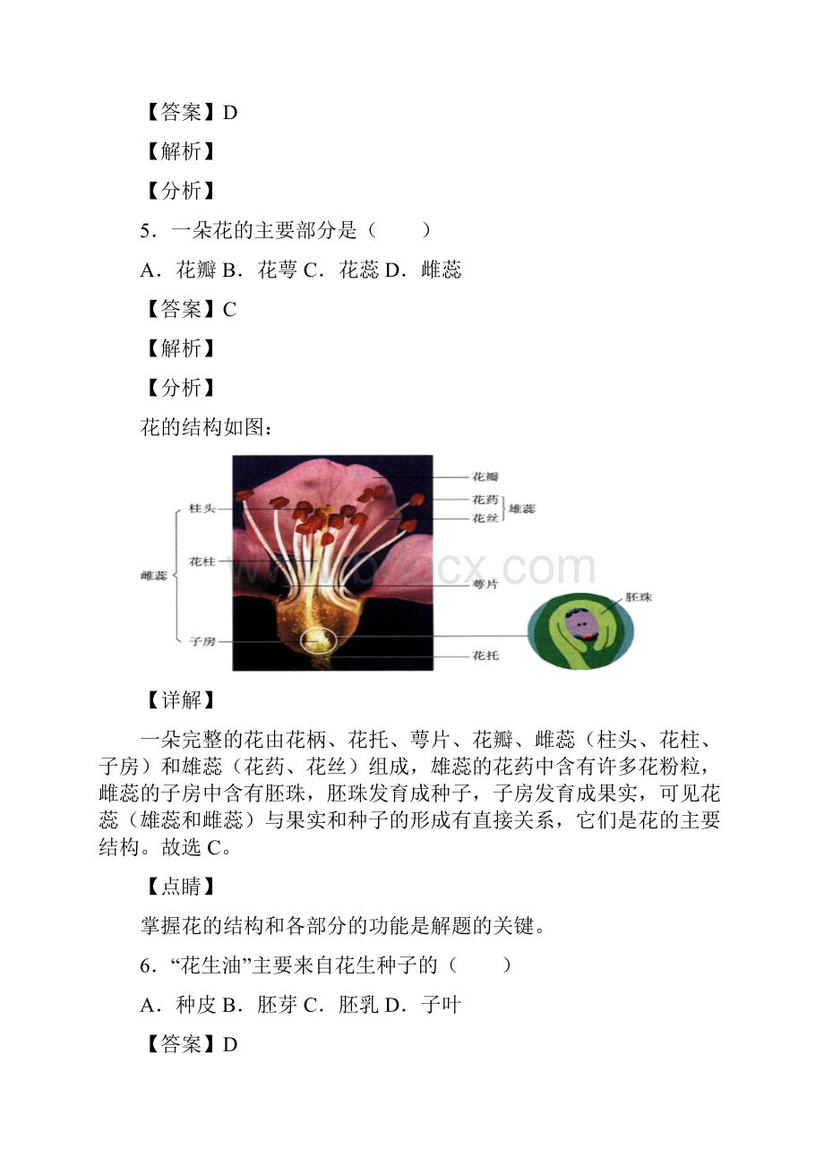 生物七年级第三单元《生物圈中的绿色植物》期末复习知识要点.docx_第3页