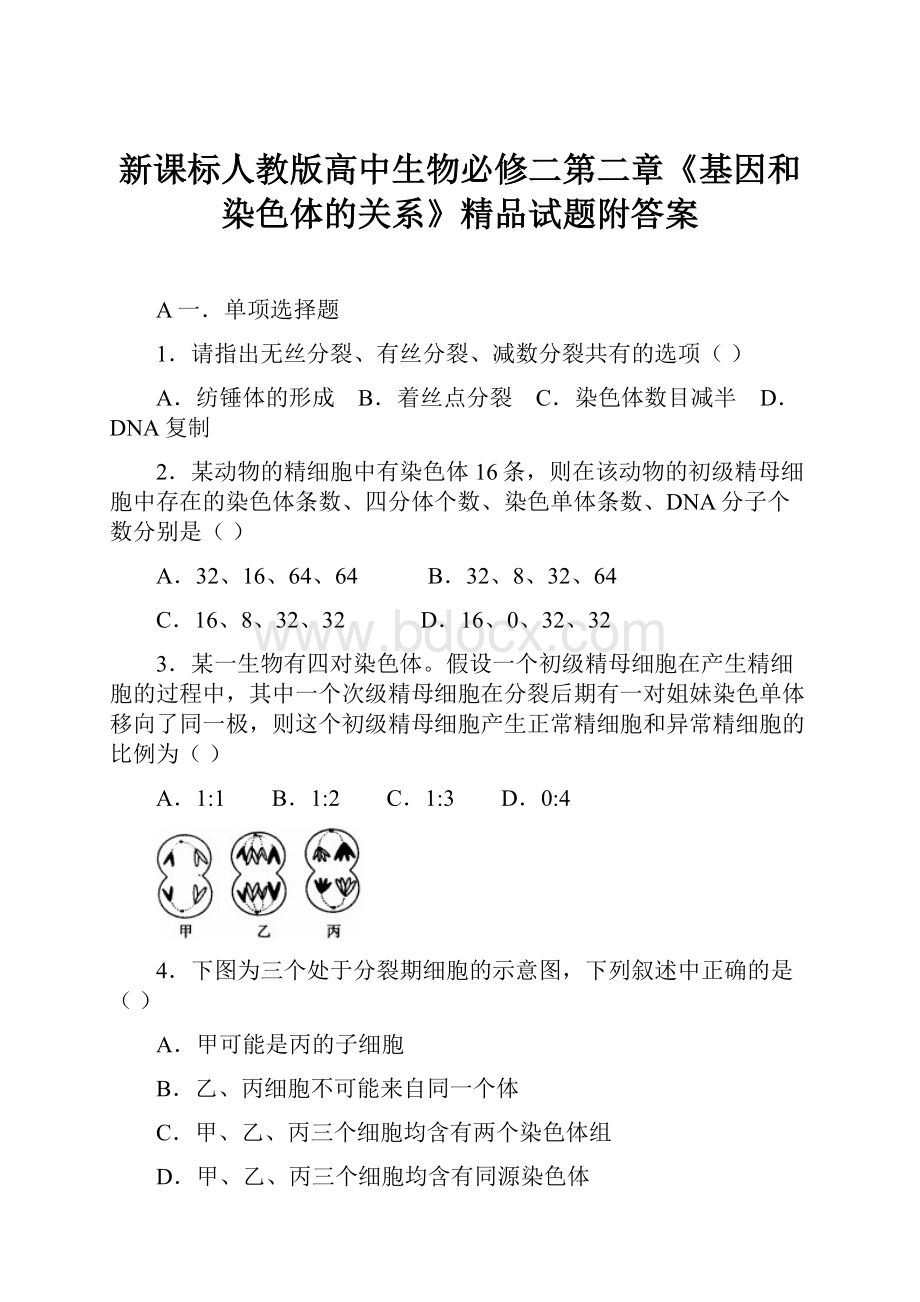 新课标人教版高中生物必修二第二章《基因和染色体的关系》精品试题附答案.docx